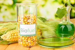 Leeds biofuel availability